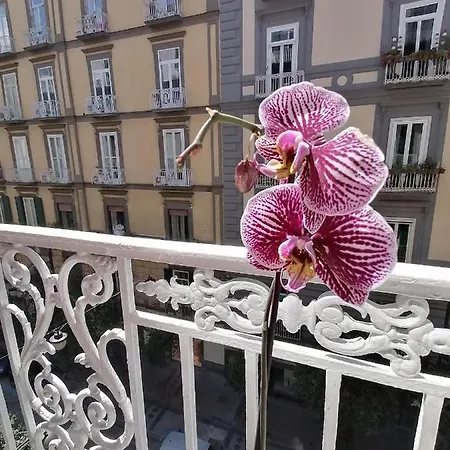 Finestra Sul Duomo * Naples