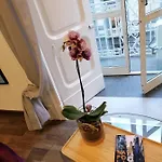 Finestra Sul Duomo Bed & Breakfast Napoli