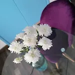 Finestra Sul Duomo Bed & Breakfast Napoli